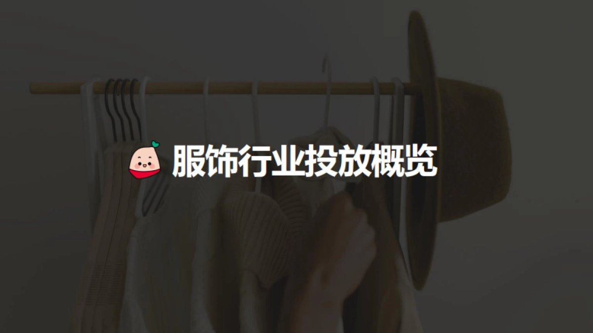 蒲公英服饰行业投放指南-终版_第9页