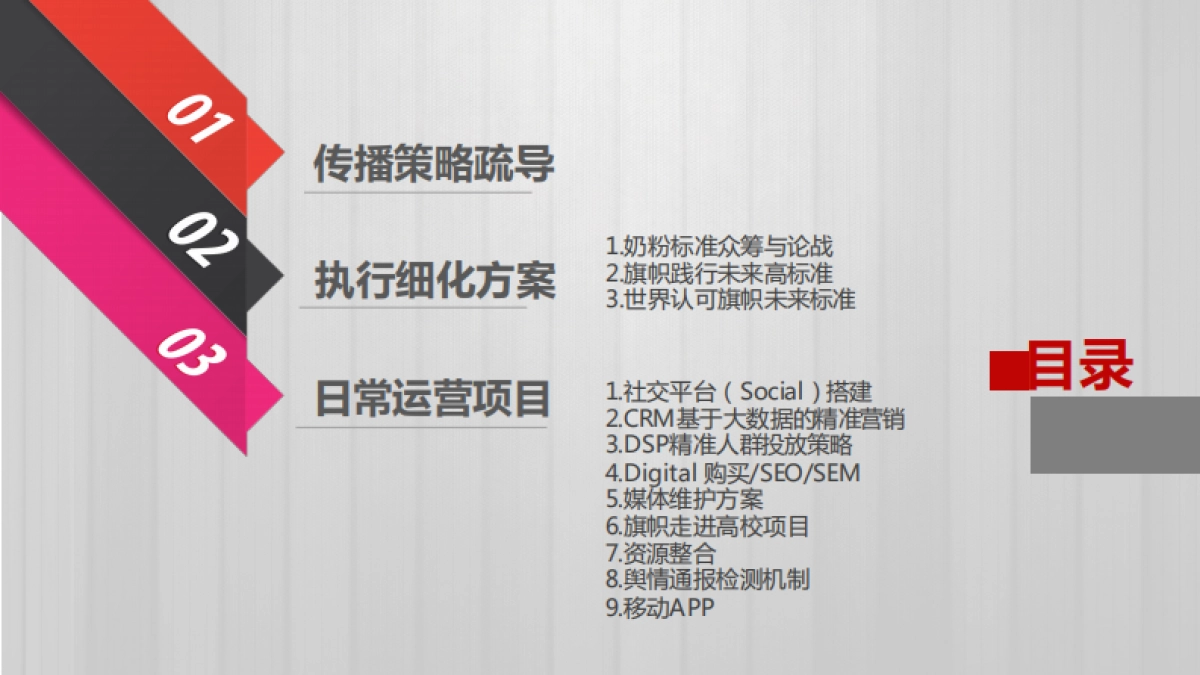 旗帜奶粉上市传播方案_第4页