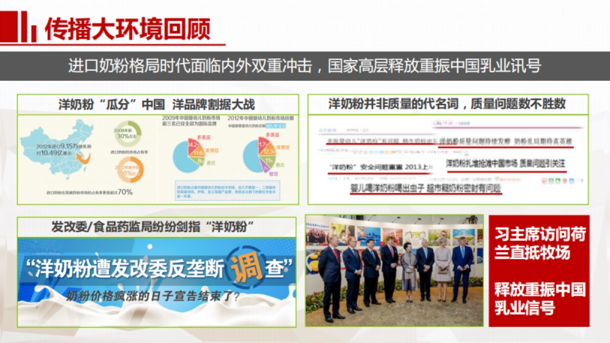 旗帜奶粉上市传播方案_第6页