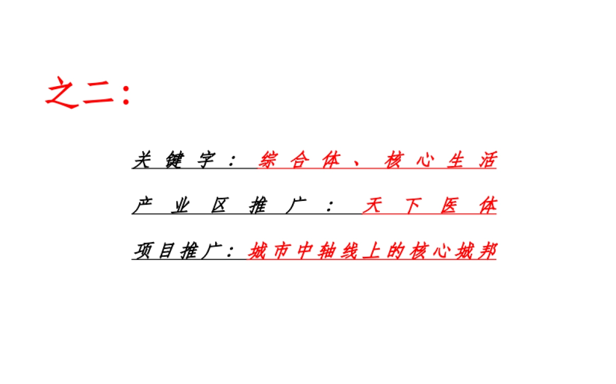 青铜骑士-南阳仲景聚集区推广及双盘推广框架策略_第8页