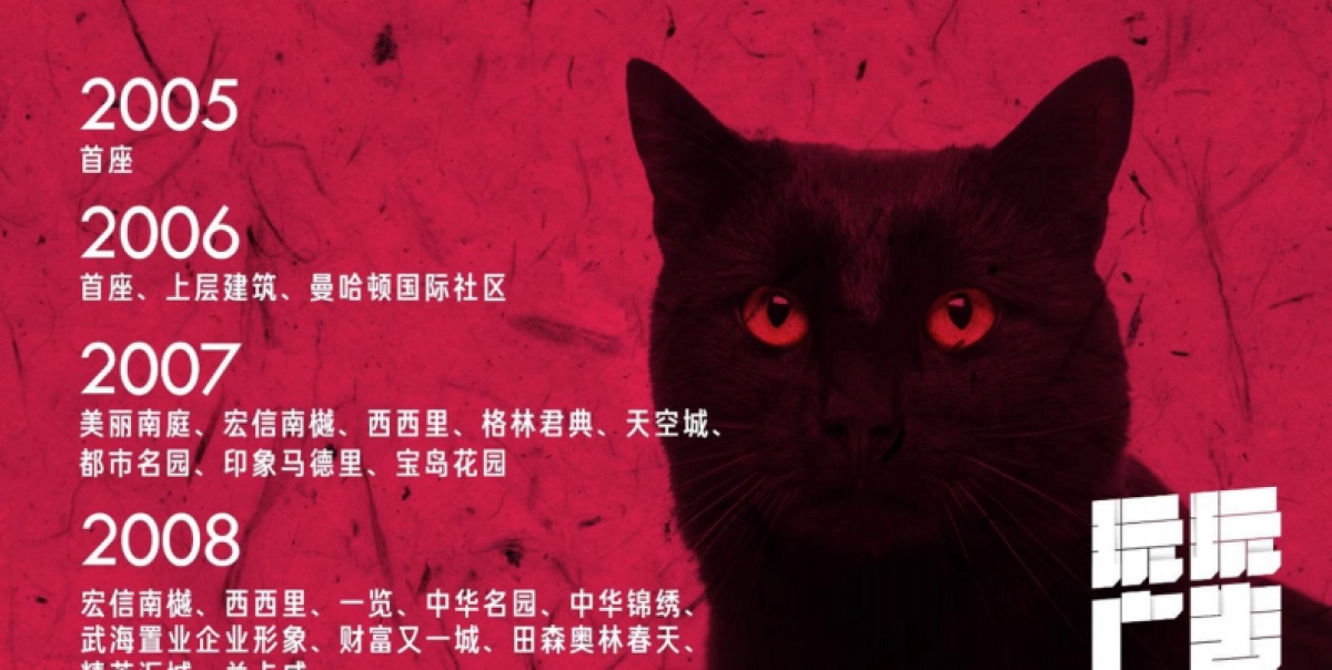 同森项目广告推广整合策略_第10页