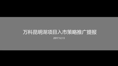 万科昆明湖项目整合传播提报-重庆极美亿广告
