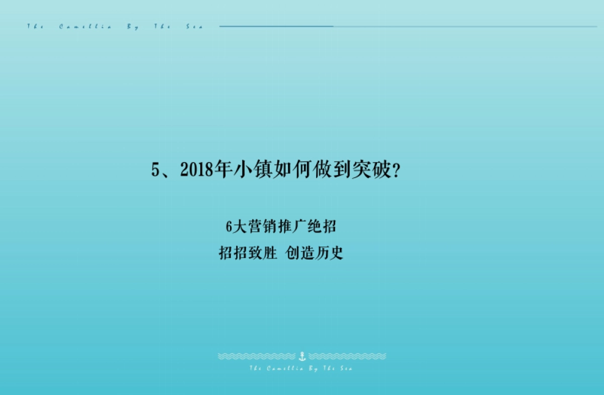 万年卡美丽亚全年度推广方案_第10页