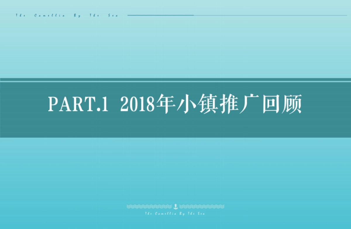 万年卡美丽亚全年度推广方案_第4页