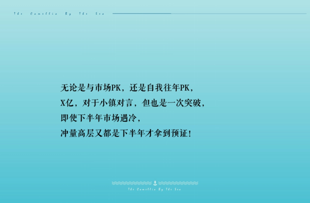 万年卡美丽亚全年度推广方案_第9页