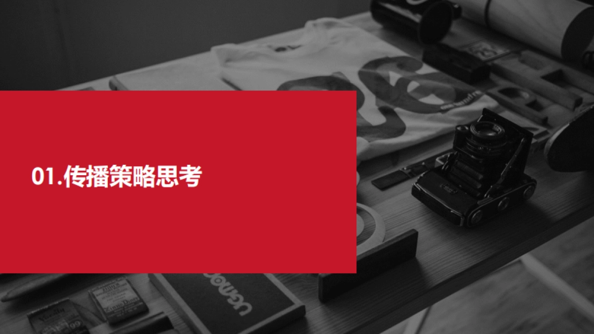 王老吉春节档EPR传播方案_第3页