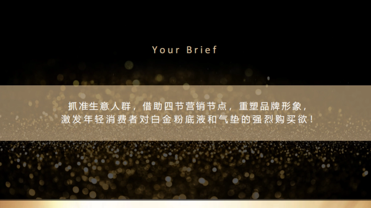 雅诗兰黛白金粉底及气垫12-2月推广方案_第2页
