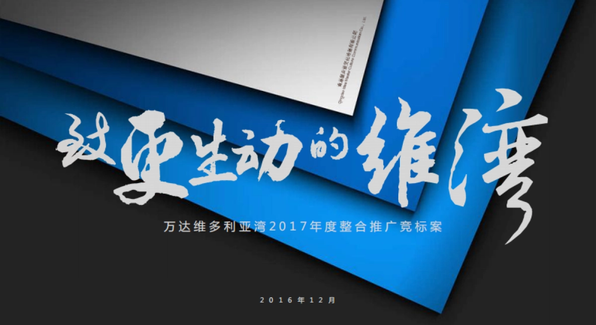 墨声堂-万达维多利亚湾年度整合推广竞标案_第2页