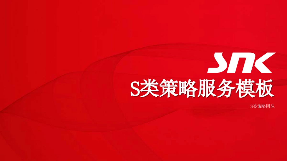 S类策略服务模板_第1页