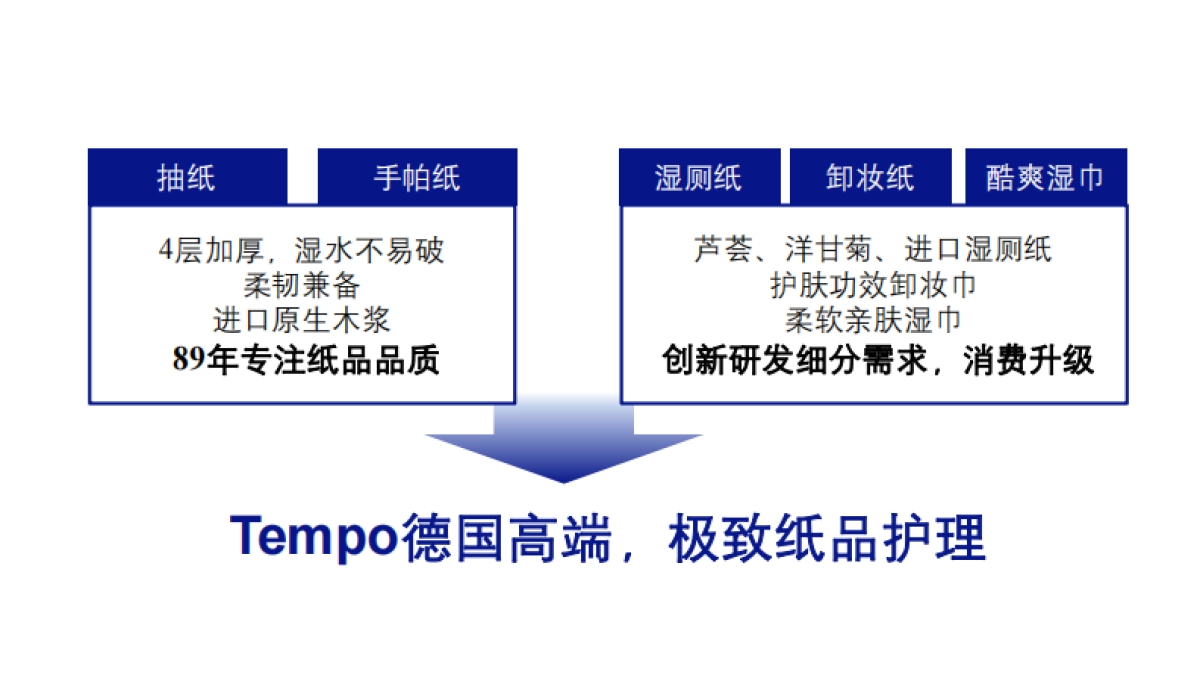 Tempo纸巾年度营销方案_第4页