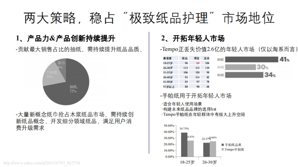 Tempo纸巾年度营销方案_第5页