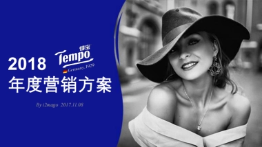 Tempo纸巾年度营销方案