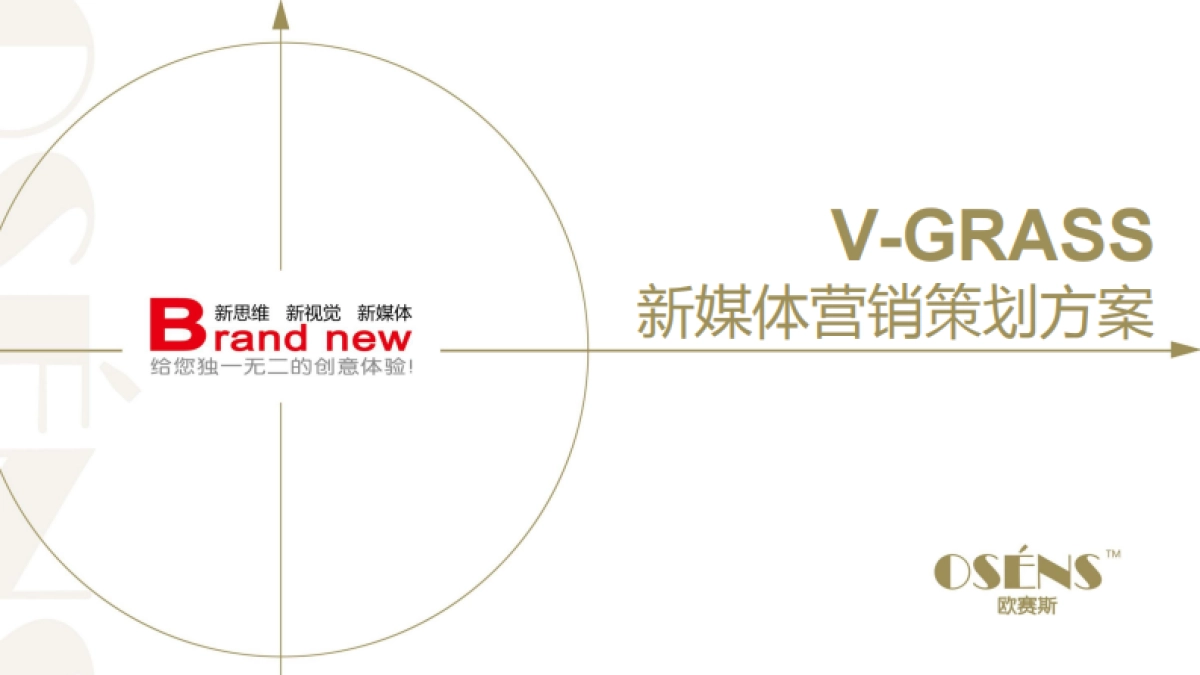 V-GRASS新媒体营销策划方案_第1页