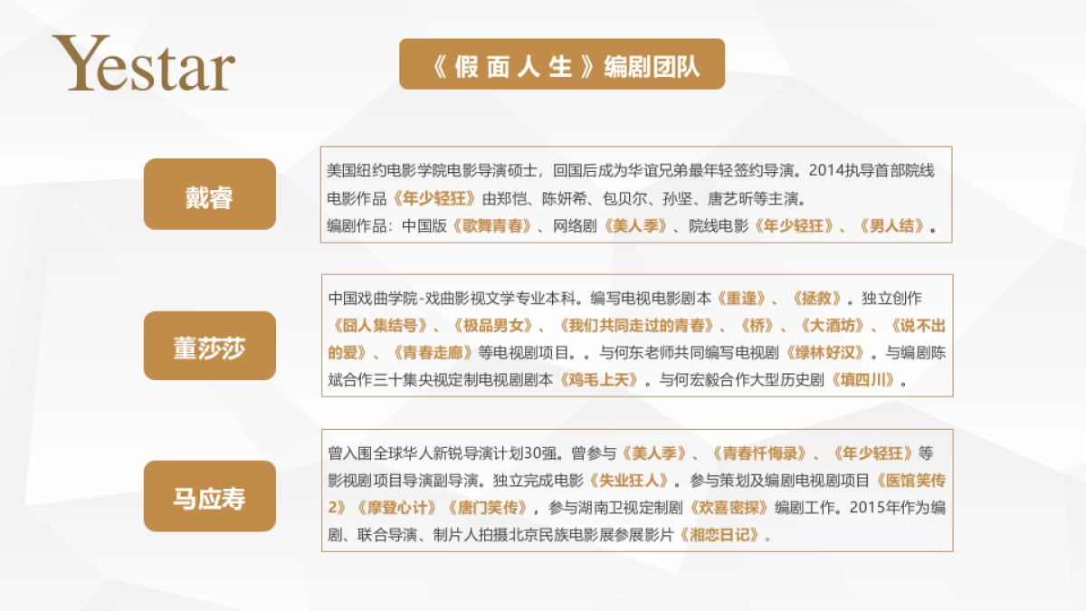 Yestar艺星整形品牌整合营销传播方案_第10页