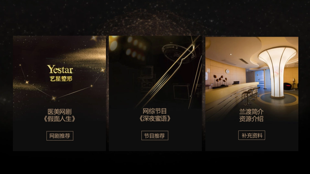 Yestar艺星整形品牌整合营销传播方案_第2页