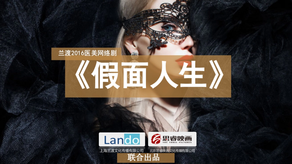 Yestar艺星整形品牌整合营销传播方案_第4页