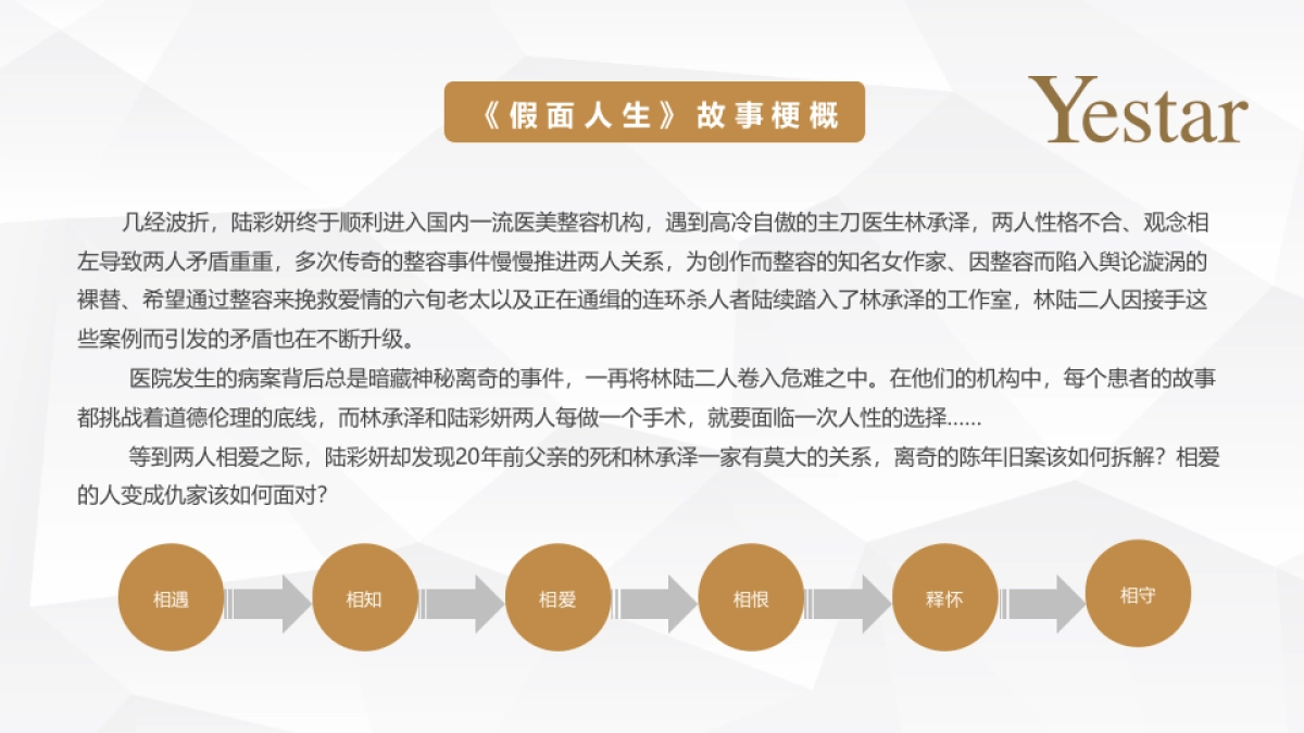 Yestar艺星整形品牌整合营销传播方案_第6页