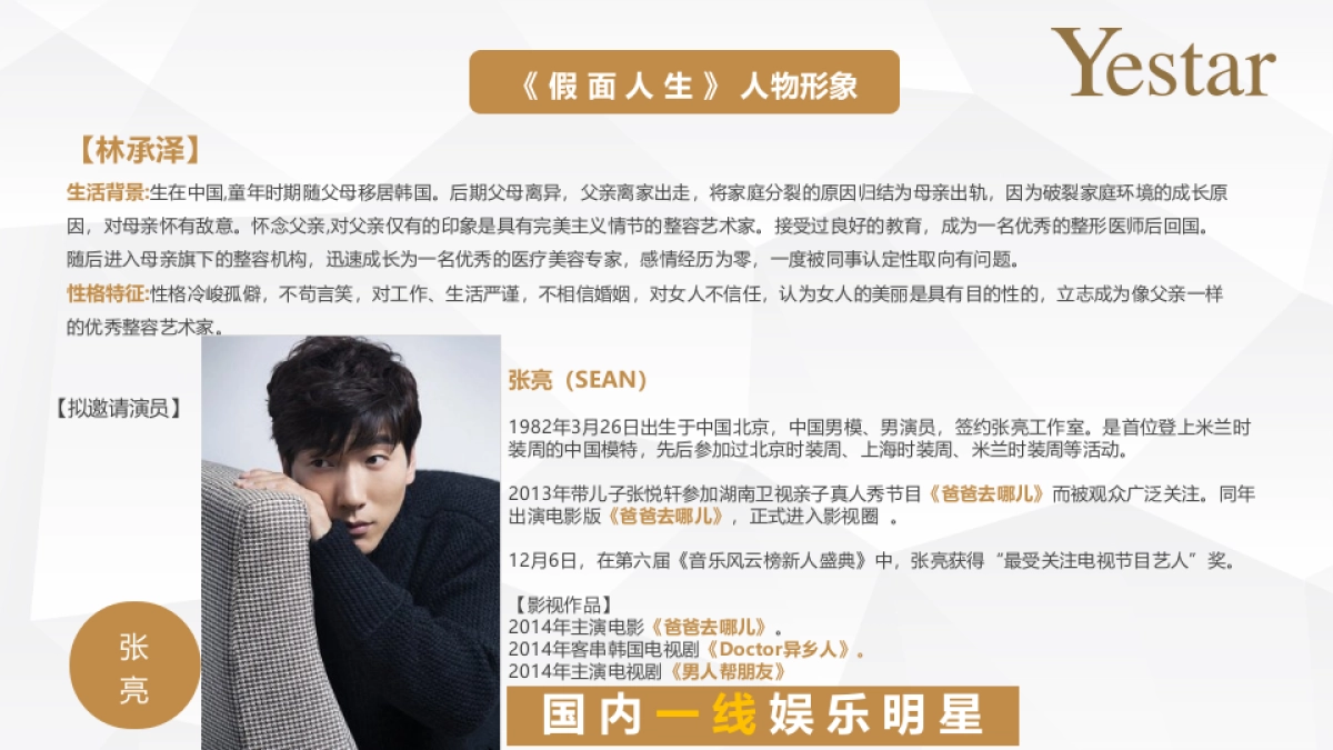 Yestar艺星整形品牌整合营销传播方案_第7页