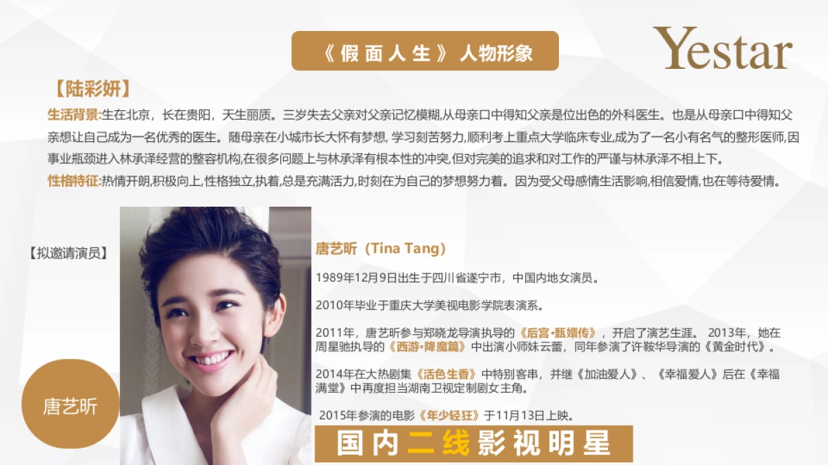 Yestar艺星整形品牌整合营销传播方案_第8页