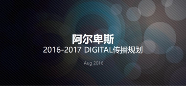 阿尔卑斯年新媒体营销方案