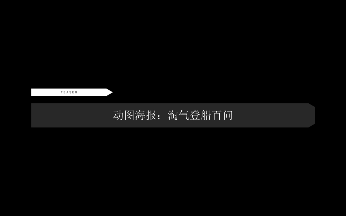 阿里大会员启航社会化营销方案_第10页
