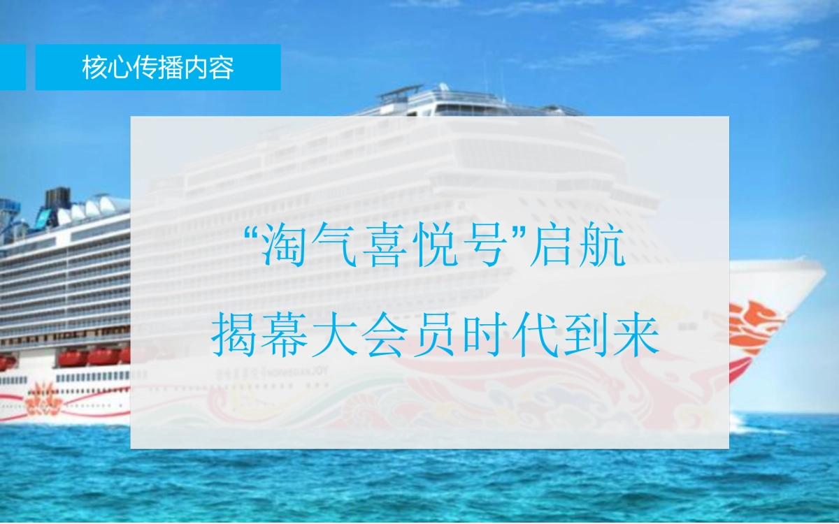 阿里大会员启航社会化营销方案_第4页