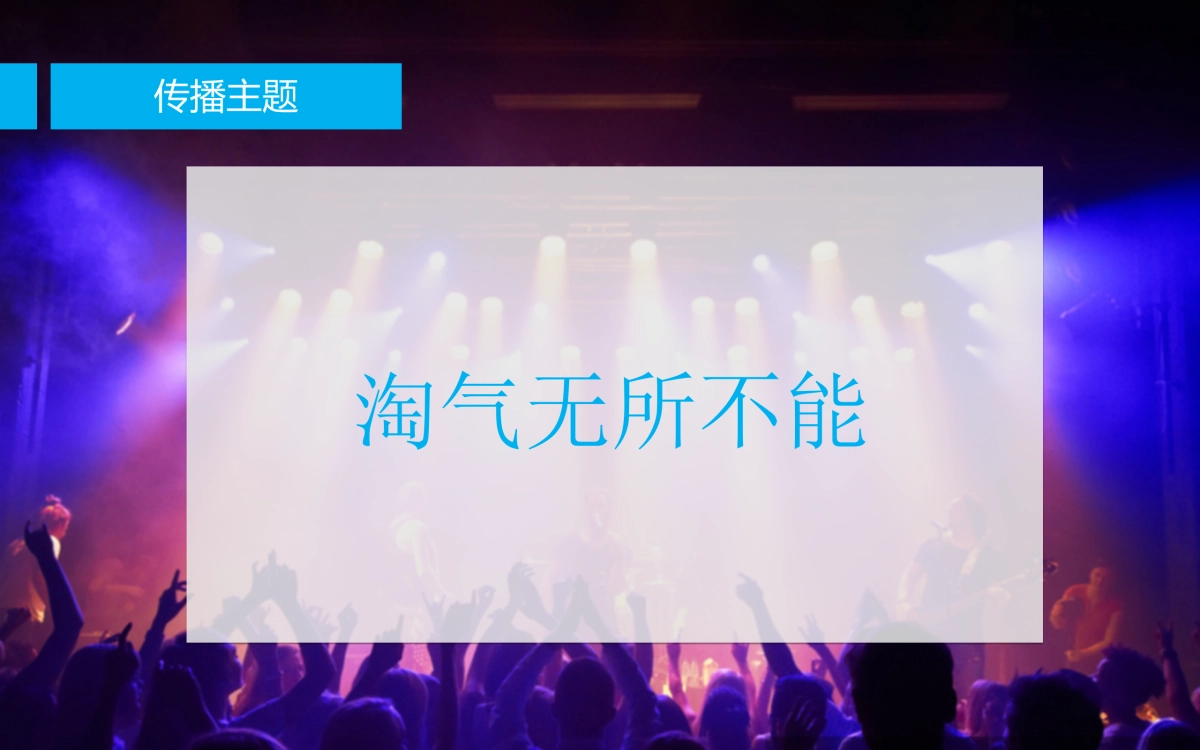 阿里大会员启航社会化营销方案_第5页