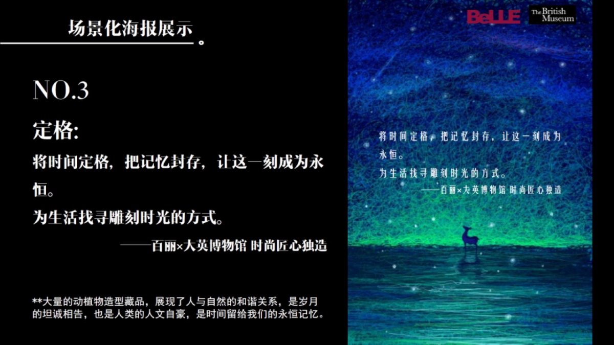 百丽品牌IP项目整合营销方案_第9页