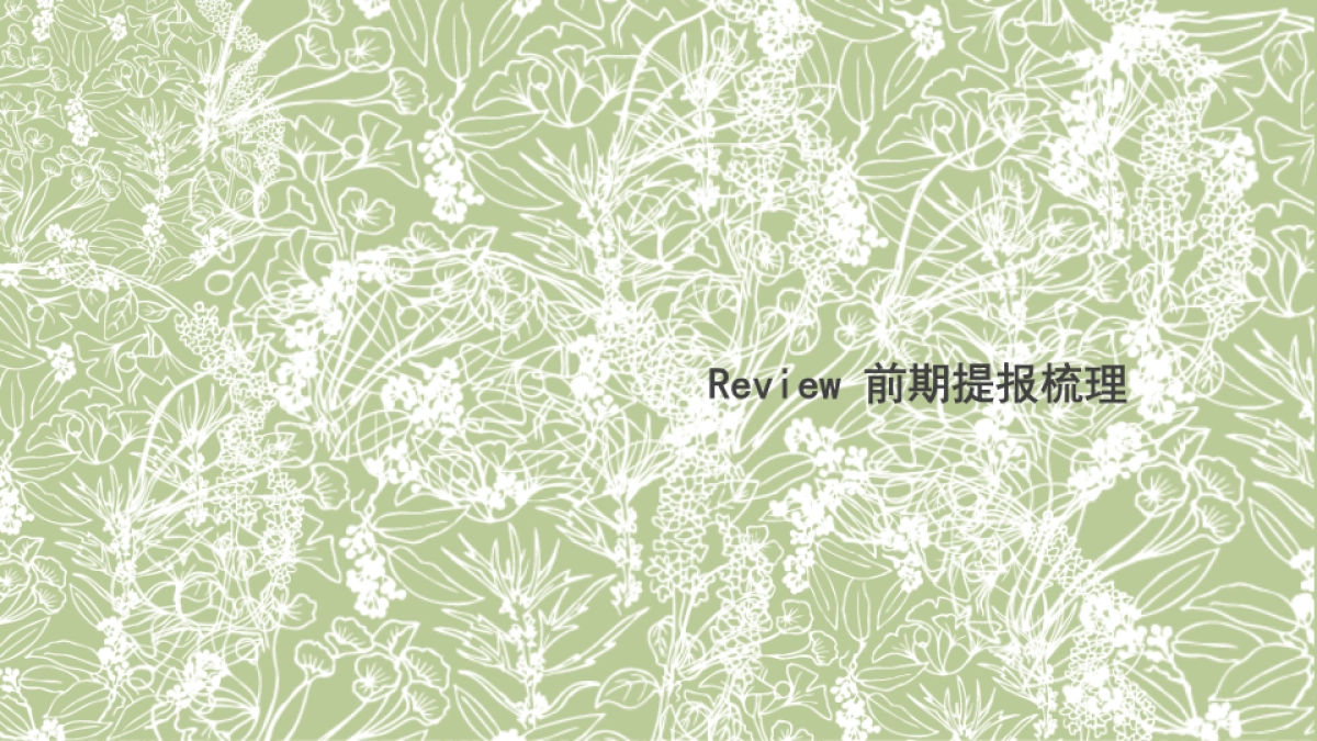 佰草集太极丹上市整合营销方案_第2页