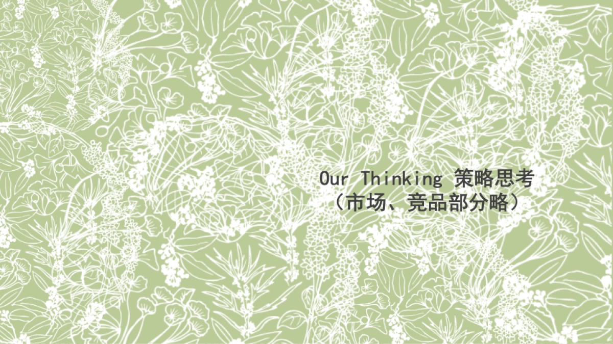 佰草集太极丹上市整合营销方案_第5页