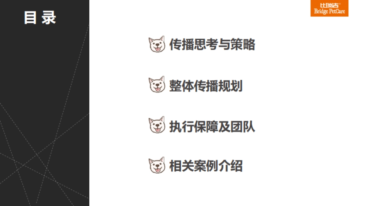 比瑞吉整合营销方案_第2页