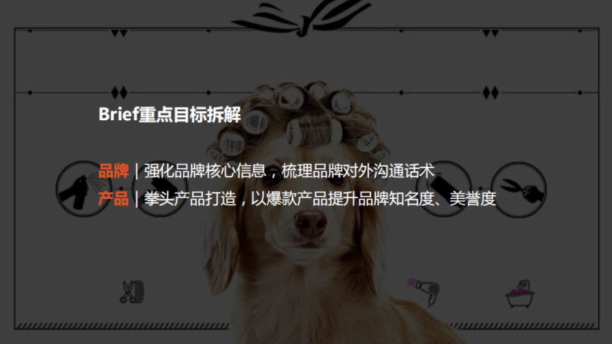 比瑞吉整合营销方案_第3页