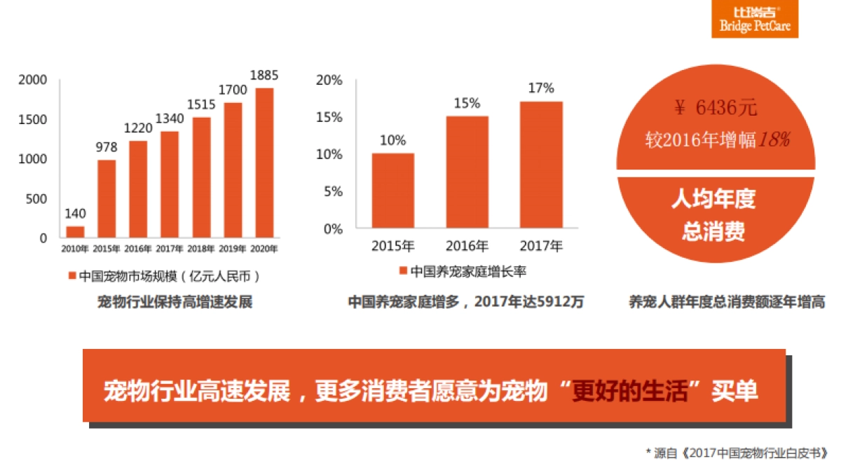 比瑞吉整合营销方案_第5页