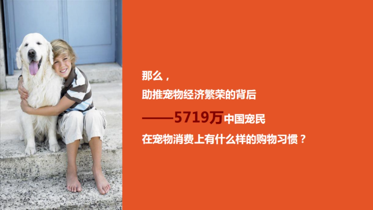 比瑞吉整合营销方案_第8页