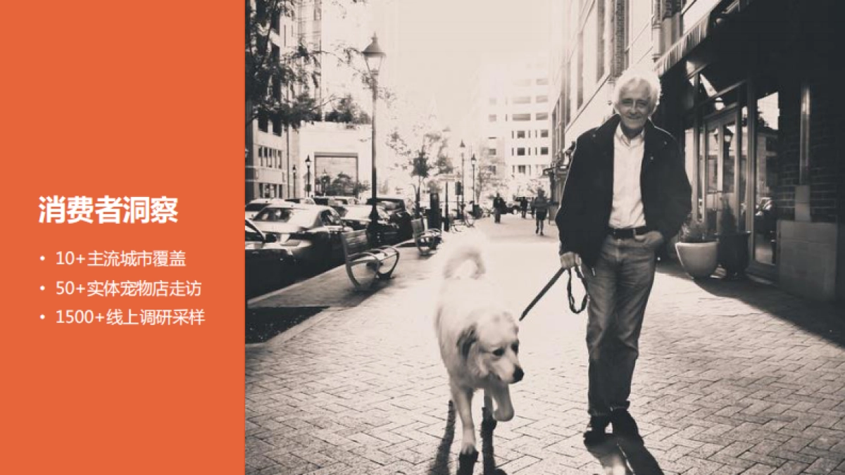 比瑞吉整合营销方案_第9页