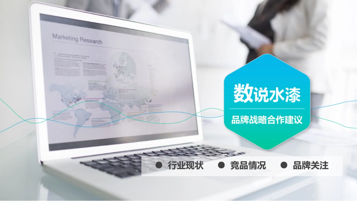 晨阳水漆整合营销方案_第2页