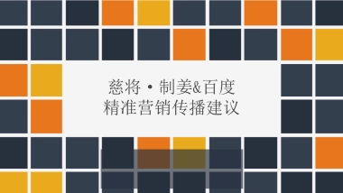 慈将·制姜百度精准营销方案