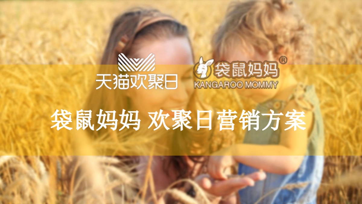 袋鼠妈妈 欢聚日营销方案_第1页