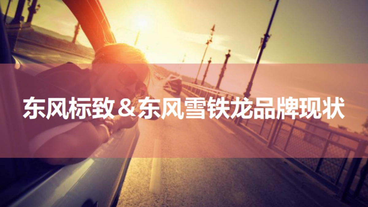 东风标致＆东风雪铁龙年度营销竞标案_第3页