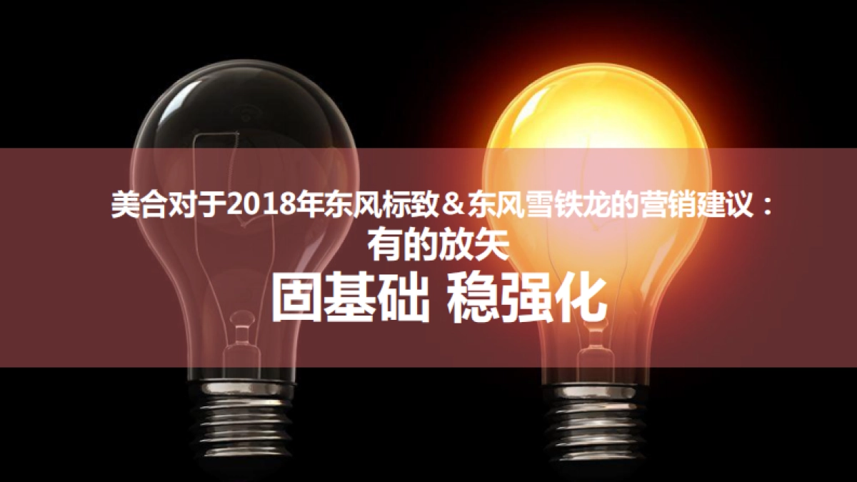 东风标致＆东风雪铁龙年度营销竞标案_第9页