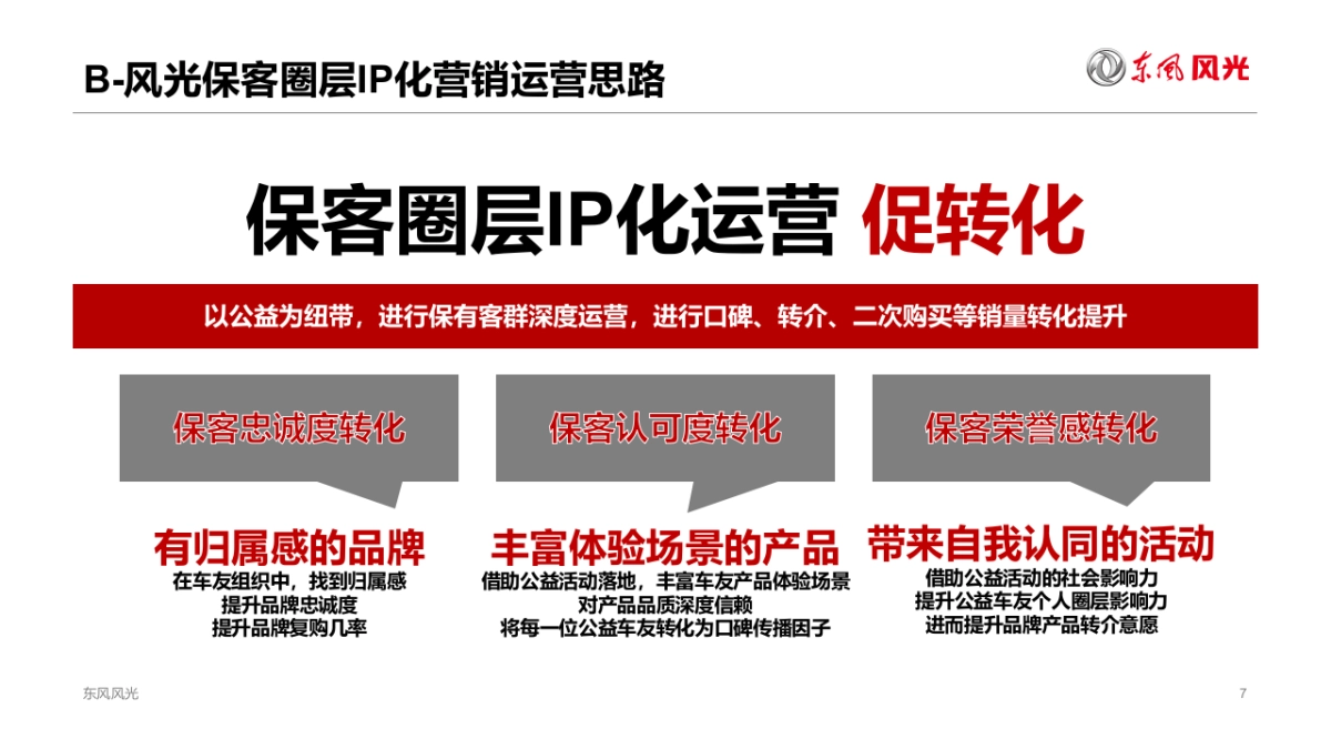 东风风光保客圈层IP化营销运营规划_第7页