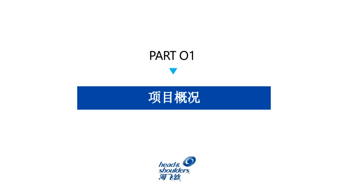 海飞丝×热血街舞团微博营销结案_第2页