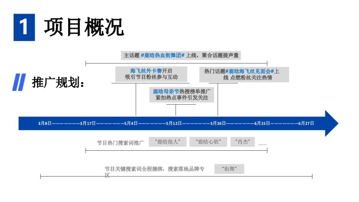 海飞丝×热血街舞团微博营销结案_第5页