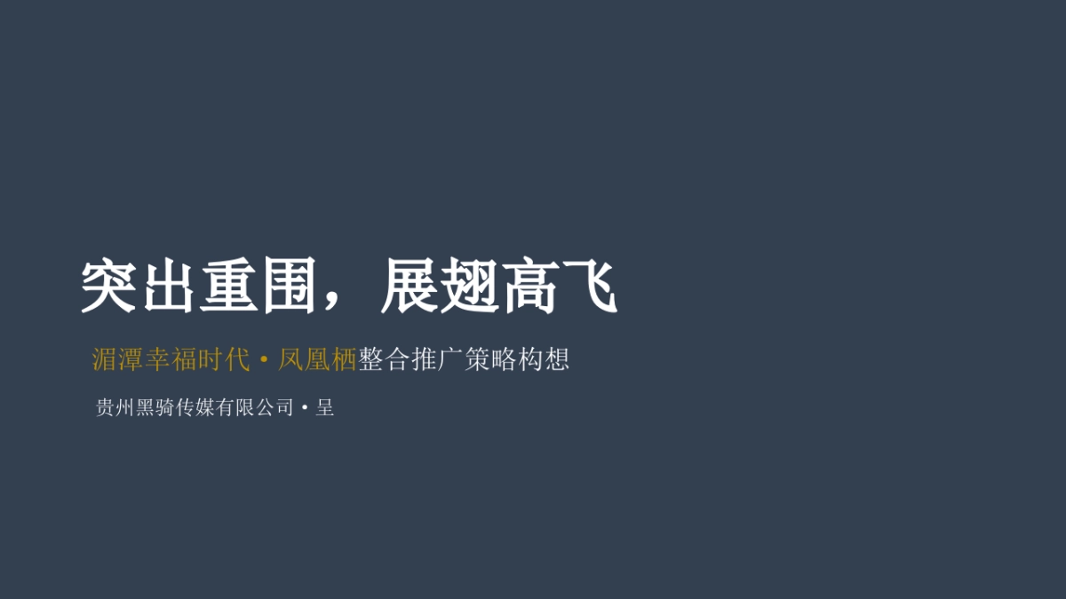黑骑广告-国保区纯手绘凤凰策略提案_第2页