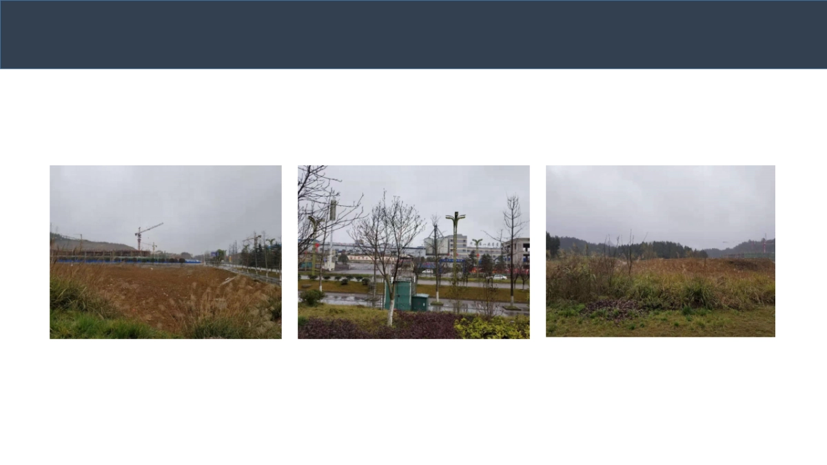 黑骑广告-国保区纯手绘凤凰策略提案_第4页