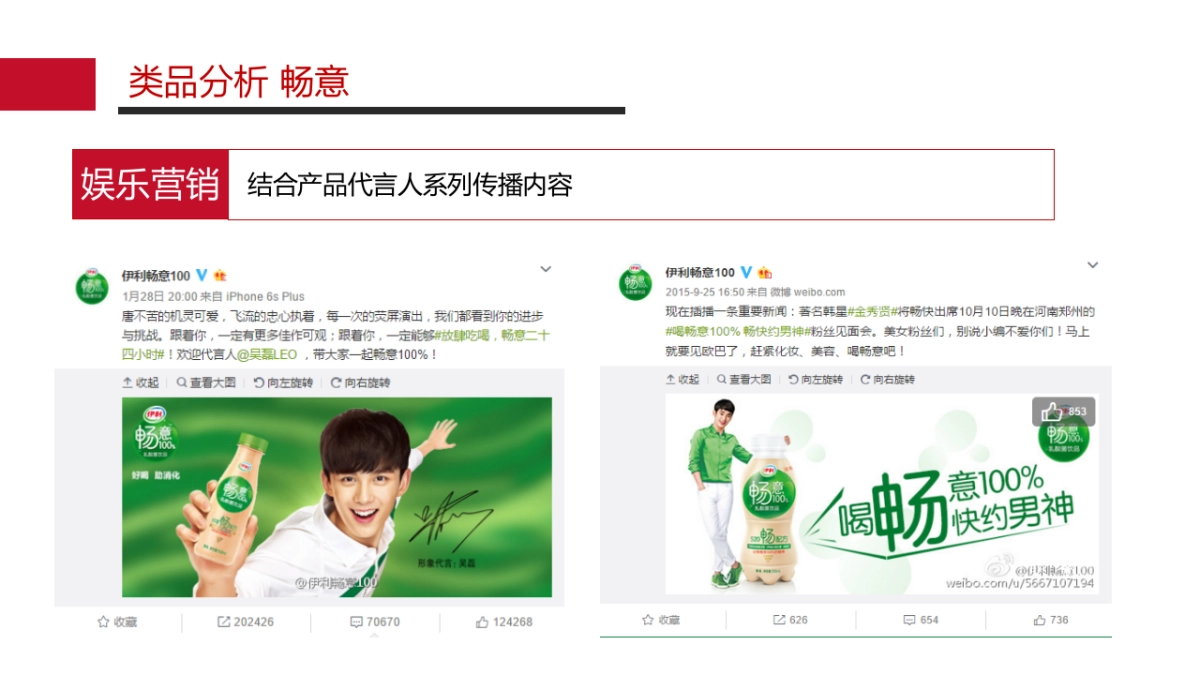 汇源果肉多年整合营销方案_第5页