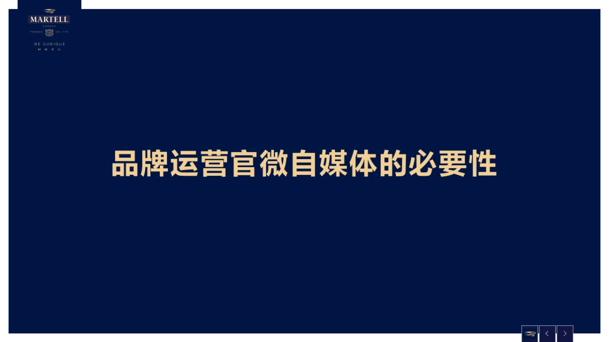 【Starnet】马爹利婚宴微博运营方案_第3页