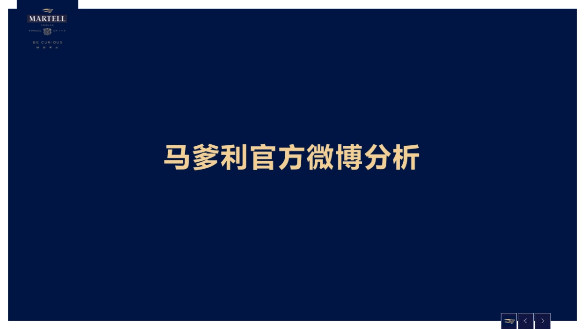 【Starnet】马爹利婚宴微博运营方案_第5页