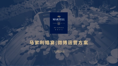 【Starnet】马爹利婚宴微博运营方案