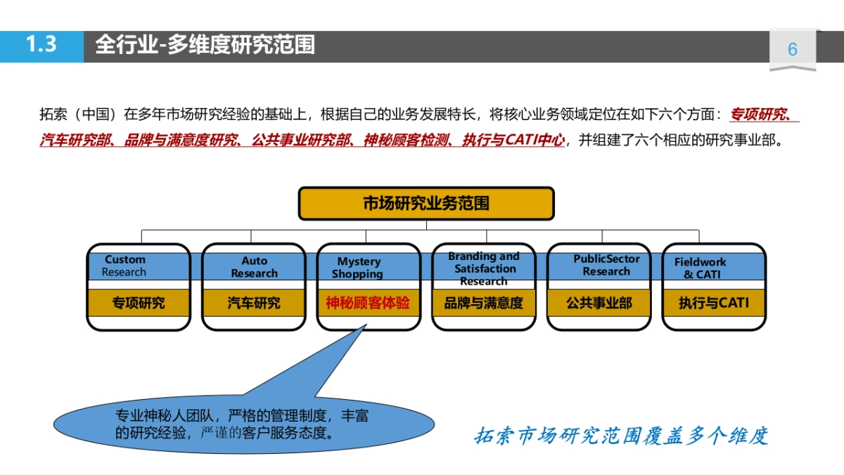 【拓索中国】2018海尔服务质量用户全流程体验项目方案_第6页